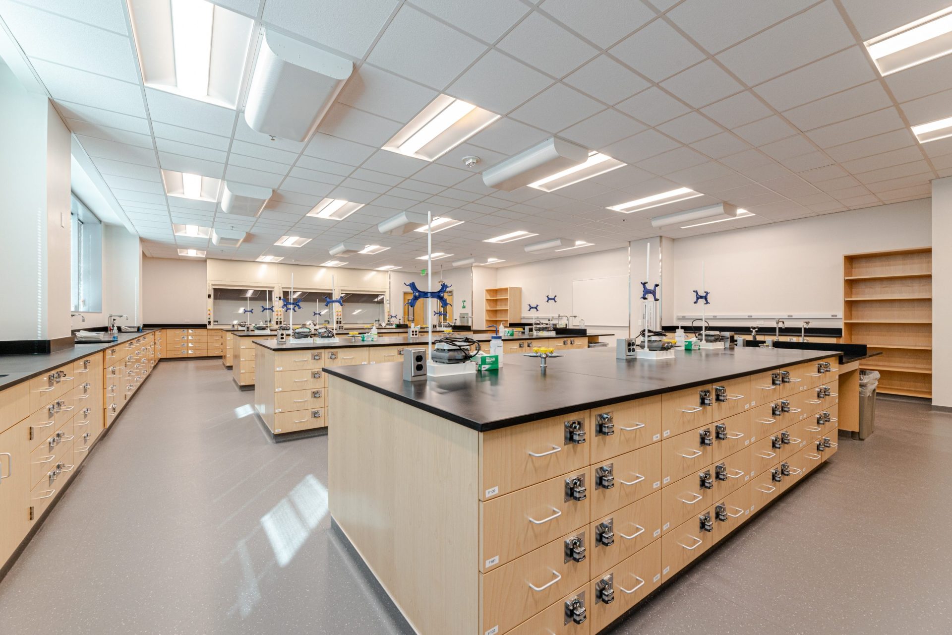 Fixed wood casework and fume hoods, in a lab